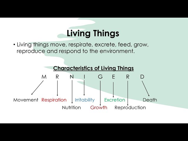 JSS3 Basic Science: Living Things And Non-Living Things