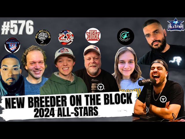 THE BIGGEST BALL PYTHON PROJECTS OF 2025 | NEW BREEDER ON THE BLOCK ALL-STARS