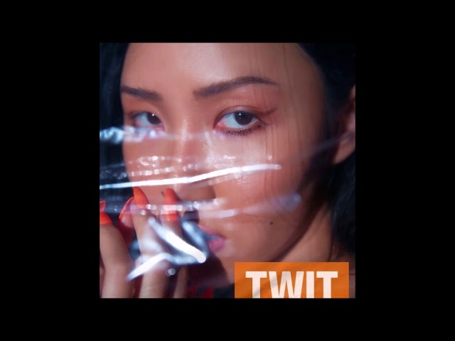 Hwa Sa (화사) - 멍청이 (twit) (Full Audio) [Digital Single - 멍청이 (twit)]