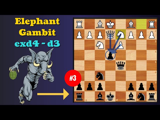 Tricky Elephant Gambit - 3 (3.exd5-d3)