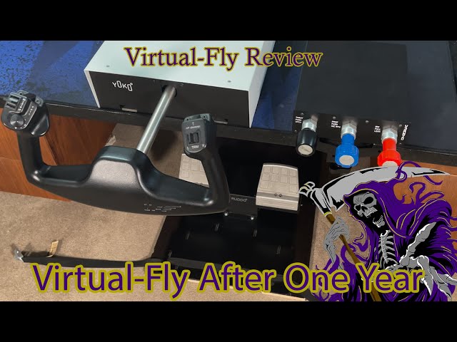 Virtual-Fly After One Year