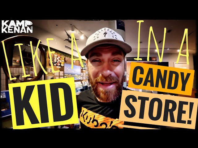 All These Animals Died!