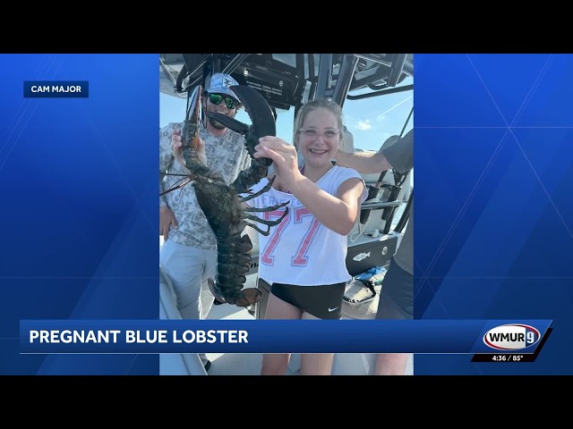 NH family experiences one-in-a-billion find on fishing trip