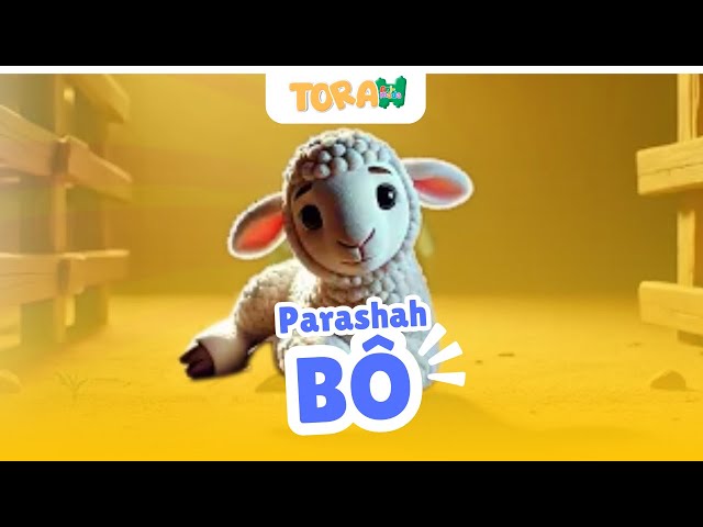 TORAH ANIMADA | PARASHAT BÔ | KIDS | 5785