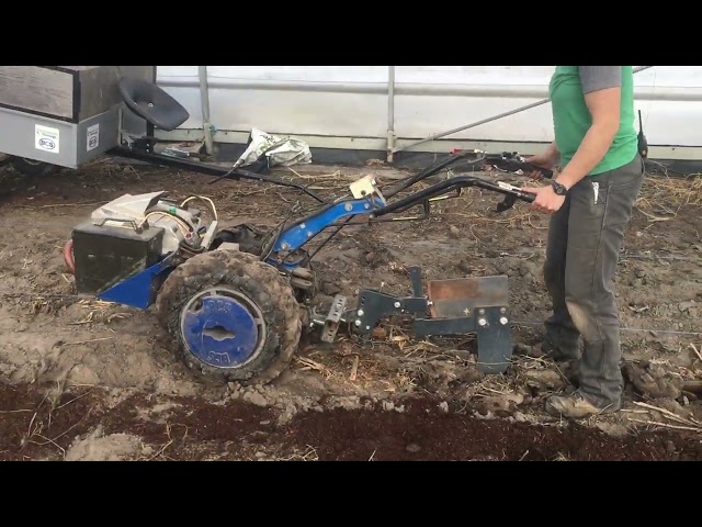 BCS 730-E with deep ripper/subsoiler tooth