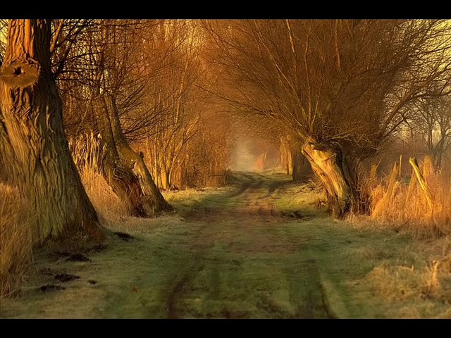 Burial & Four Tet - Moth