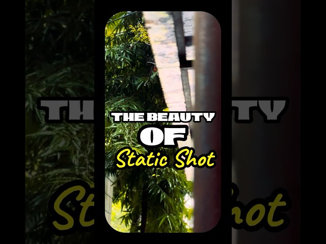 Rain Drops - Static Shots in Video: How to Make Them Look Cinematic