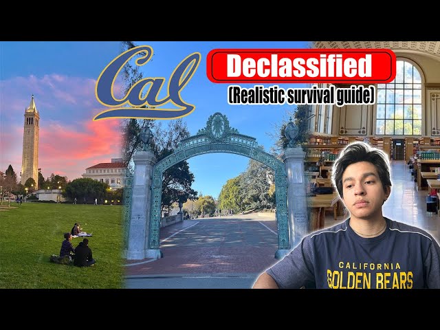What you should know before attending UC Berkeley | Downsides of CAL