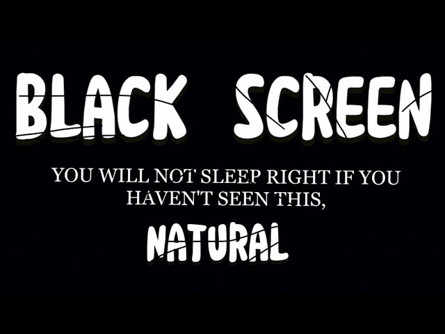 Heavy Rain Sounds for Your Night's Sleep in Night | Nature Sounds | Dark Screen | Black Screen