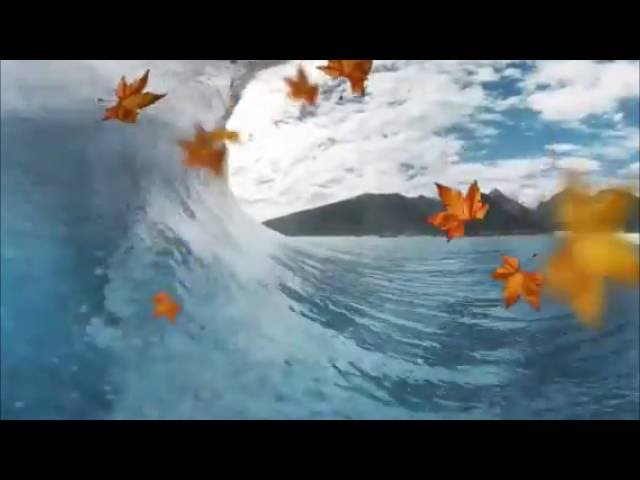 360 Surfing