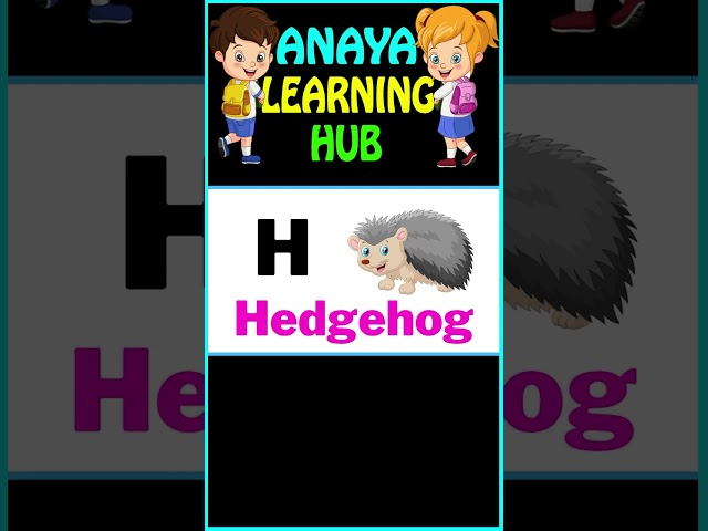 H for hedgehog #youtubeshorts #shortvideo #shorts