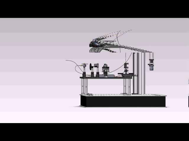 Slit-scan with MATLAB