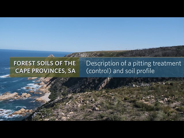 Description of a pitting treatment (control) and soil profile