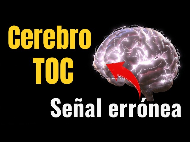 Un cerebro con TOC no puede apagar la señal alarma (y eso es un problema)