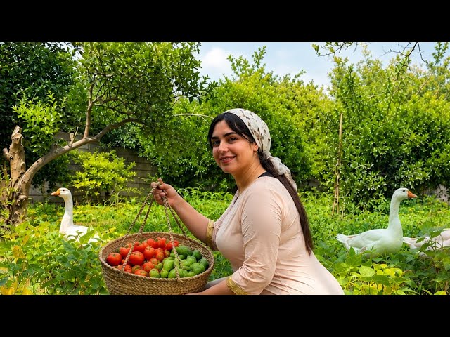 Harvesting Fresh Tomatoes & Squash | Traditional Village Cooking | Peaceful Rural Life