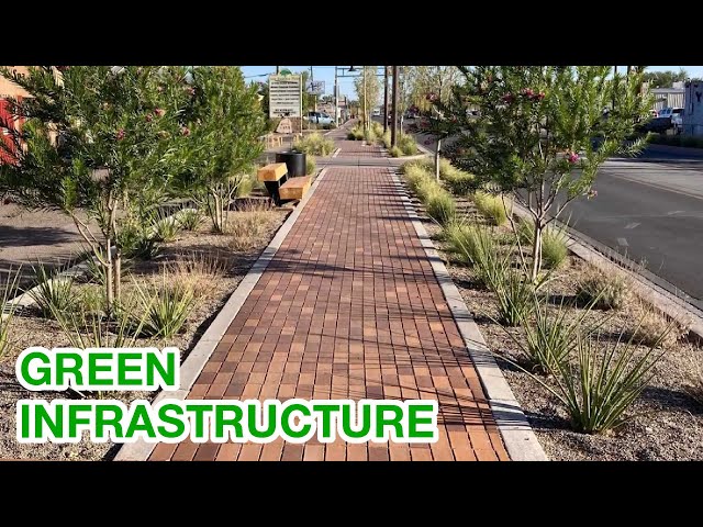 Green Infrastructure:  Adaptable Solutions for Your Climate