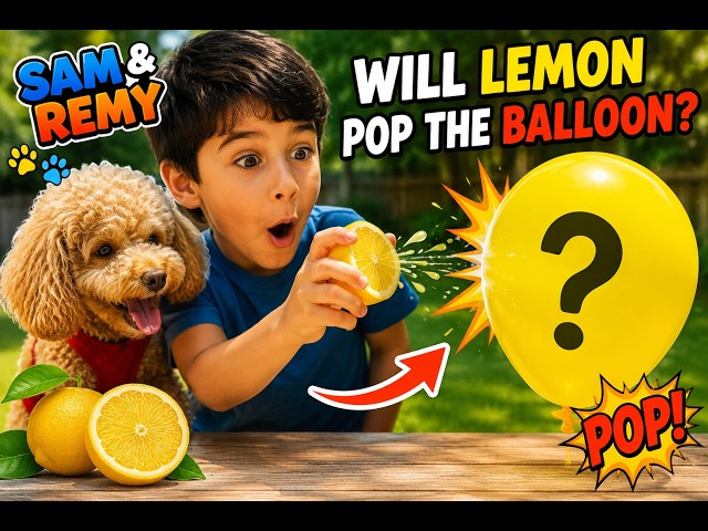Can a Lemon POP a Balloon? 🍋🎈 | Fun Science Experiment for Kids