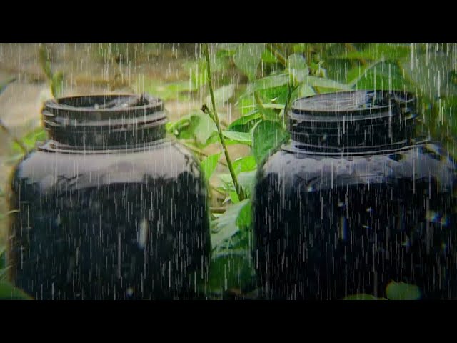 Infinite Rain Sounds to Beat Insomnia