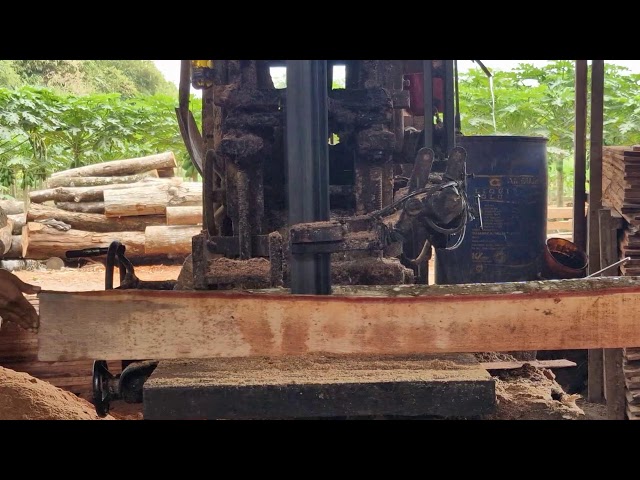 Cutting Hardwood Has Never Been This Smooth! Modern Sawmill Power
