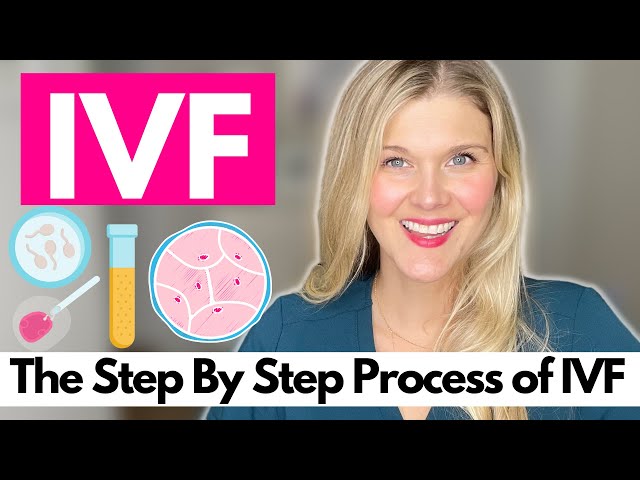 What is IVF?  Step by Step of the IVF Process to Get Pregnant