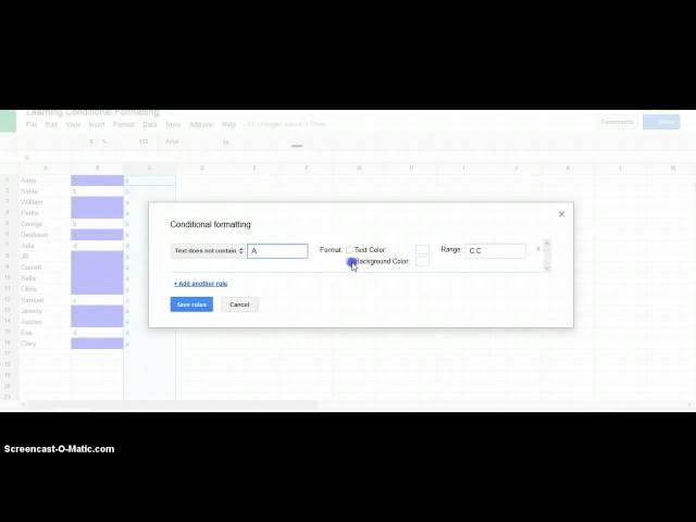 Conditional Formatting Basics