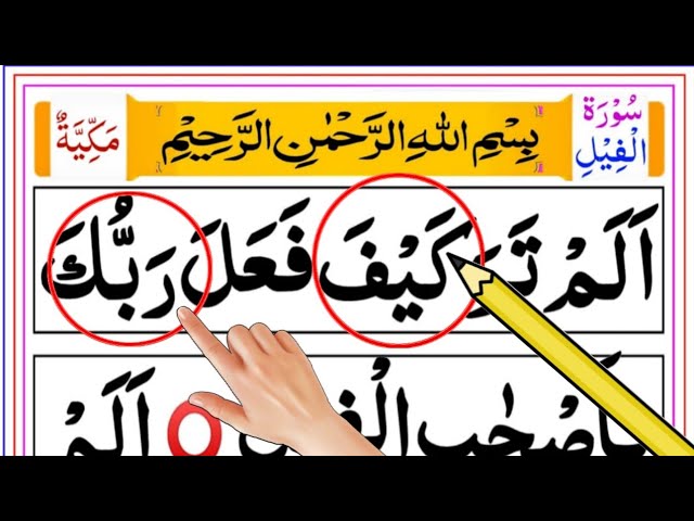 Daily Quran Class: Lesson Surah Al Feel Fully Memorization || Surah Feel | Al feel