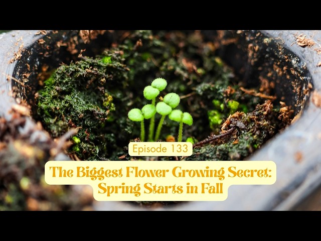 Ep 133 - The Biggest Flower Growing Secret: Spring Starts in Fall