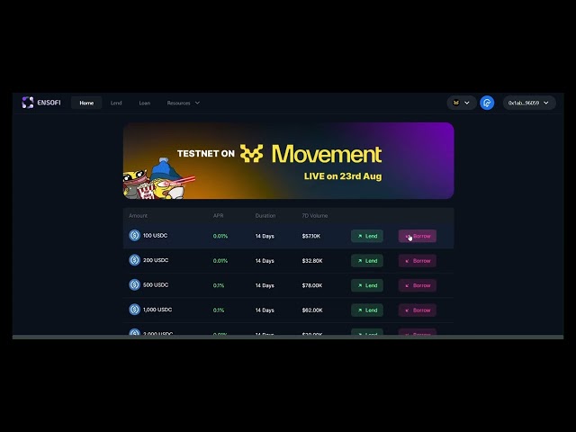 EnsoFi Testnet Tutorial: Your Complete Guide to Lending and Borrowing!