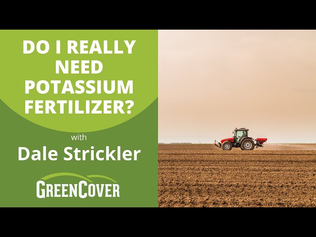 Do I Really Need Potassium Fertilizer? with Dale Strickler