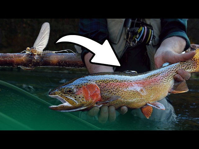 Do This to Catch More Fish! (ft. tightlinevideo)