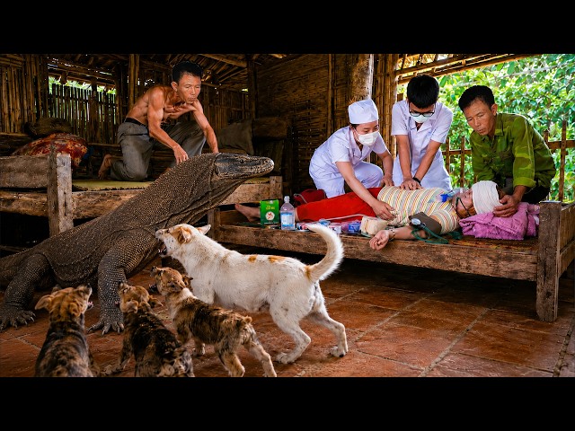 72 Hours Of Terror: Giant Python Ambushes A Sick Woman As Doctors Race To Save Her!