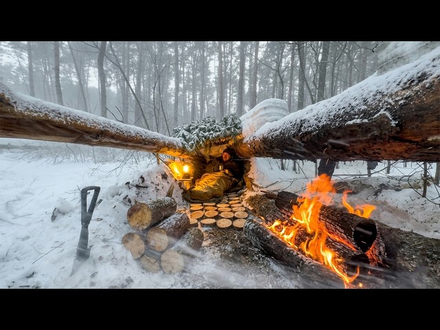 -23°C Snowstorm Survival: Cozy Shelter Under Fallen Trees (Log Floor & Long Fire)