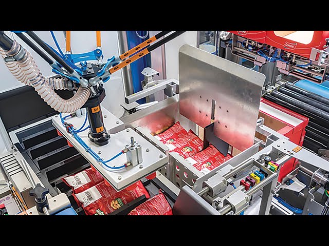 BluePrint Automation (BPA) Case Packer Spider 200i
