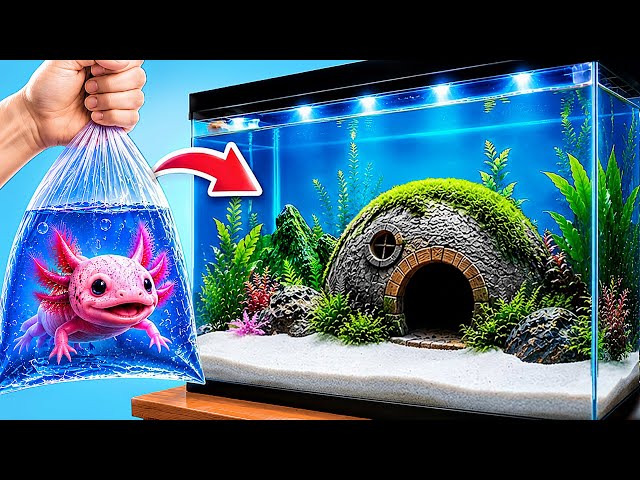 Transformé una Casa Abandonada | Construimos un Acuario Increíble Para Ajolotes Multi DO Smile