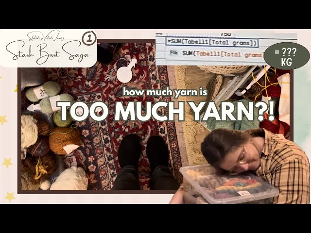 One girl, one cat, & 23kg of yarn [Stash Bust Lexi ep. 1: January 2026 inventory]