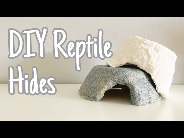 DIY Reptile Hides | 2 easy ways!