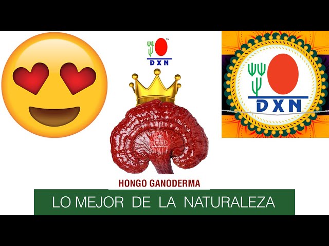 🍄Ganoderma Lucidum el Rey de las Plantas👑