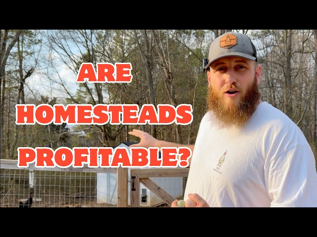 It's Time To Talk About Homestead Finances