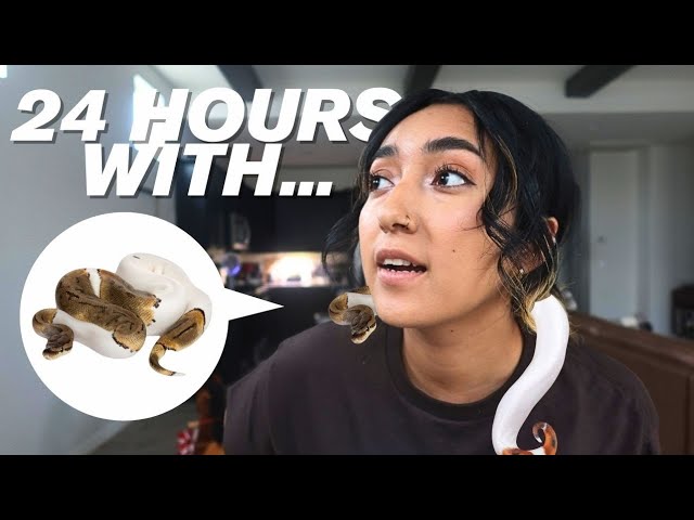 I SPENT A WHOLE DAY WITH MY SNAKE... It was a mistake