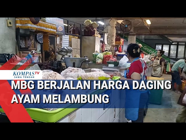 Free Nutritious Meal Program Underway, Chicken Prices Soar