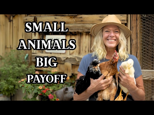 Best Starter Animals for Small Homesteads (Self-Reliance on ½ Acre)