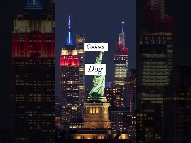 Test your English level             #englishhacks #englishlevel #a1english # #englishshorts