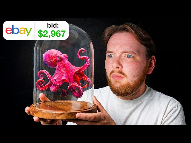 I Bid on 100 eBay Auctions… this is what I won