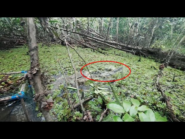 BACK FISHING AT THE SWAMP FOREST SPOT DURING THE DRY SEASON