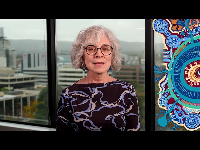 State Public Health Plan 2026 | A multicultural perspective