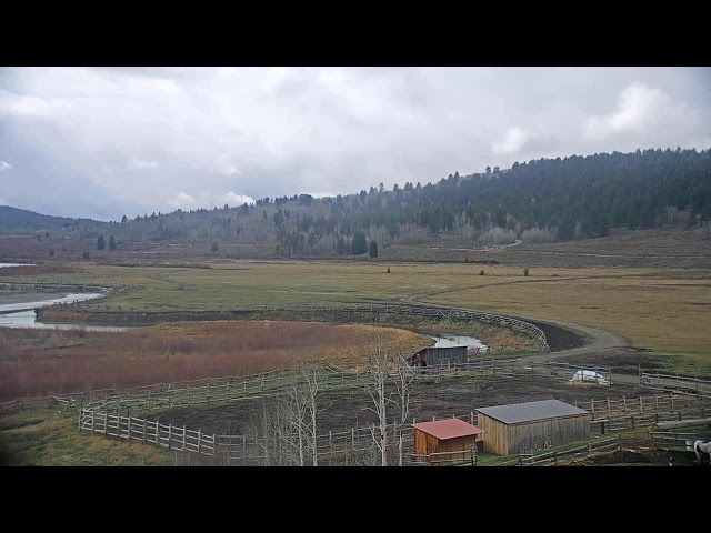 HEART SIX RANCH - LIVE (Main Lodge)