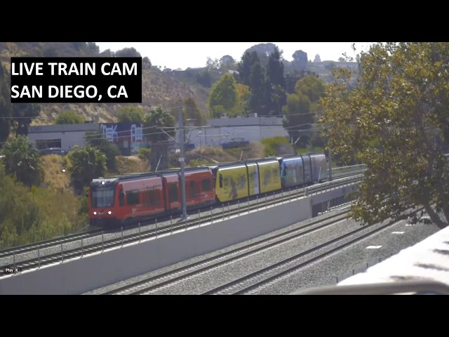 LIVE MTS Trolley, Coaster Train | San Diego Trolley + Freight Rail | Relaxing Urban Rail Stream