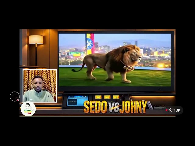 sedo vs johnny live