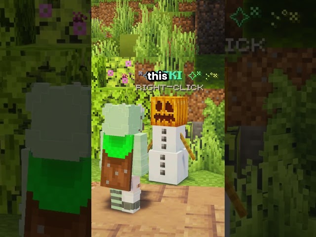Most complete wiki for a minecraft server!