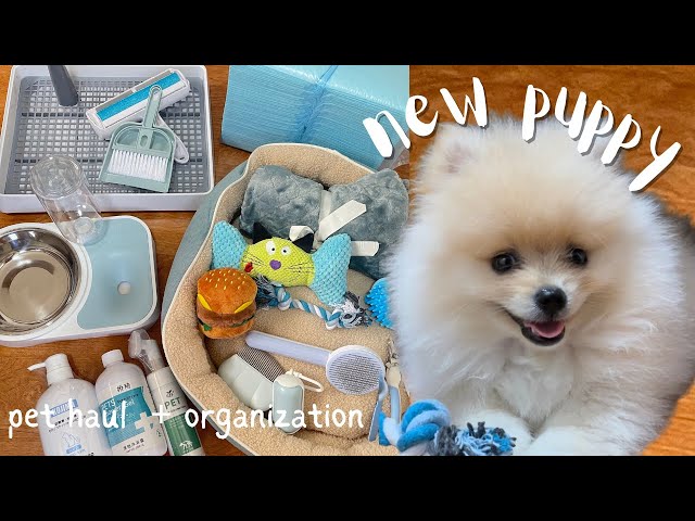 pet essentials haul 🐶 getting my first puppy